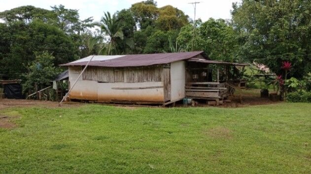 Vendo finca de 115 manzanas en cutris de San Carlos, se recibe como intercambio tambien en Cutris, San Carlos, Alajuela — ₡ 316 250 000