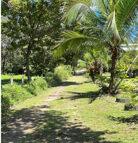 Farm for Sale in Bagaces in Bagaces, Guanacaste — $210,000