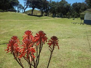 Farm For Sale Corralillo, Cartago, Cartago