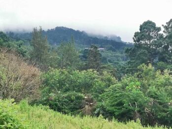 Se vende lote de 7300m2 en Puraba de Santa Barbara 23-874 in Purabá, Santa Bárbara, Heredia — $367,000 - Photo 4 of 18