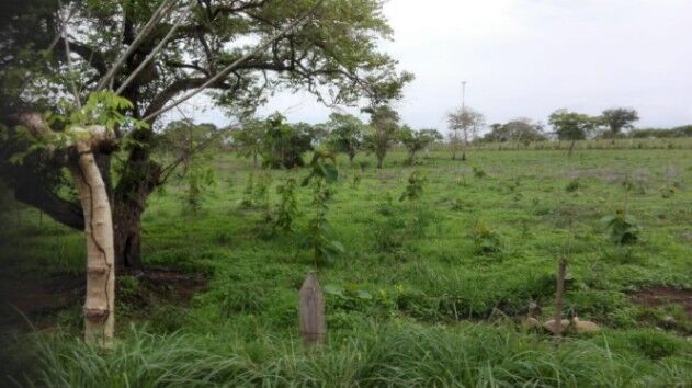 Venta de Lote en Miramar-Montes de Oro, Puntarenas. RAH 26-249 in Miramar, Montes De Oro, Puntarenas — $76,000