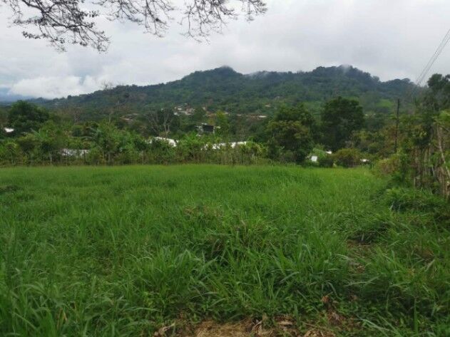 SE VENDE BELLA PROPIEDAD EN BARRIO MERCEDES, ATENAS.  en Mercedes, Atenas, Alajuela — ₡ 120 000 000