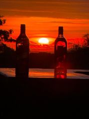 Bar y Restaurante en Venta – Coyolar, Alajuela en Coyolar, Orotina, Alajuela — $600,000 - Foto 5 de 12