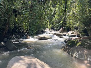 Best Farm in San Isidro Del General-River Front