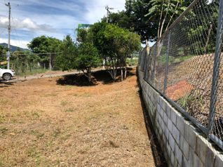 Venta de muy buen lote de 300 m2 en Balsa de Atenas in Atenas, Alajuela — 20 000 000 ₡ - Photo 5 of 14
