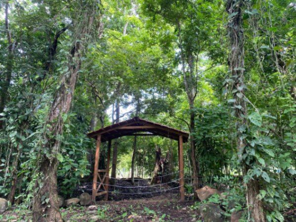 Venta de Finca en Guacimal de Puntarenas. RAH 26-105 in Guacimal, Puntarenas — $427,000