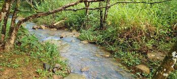 1.37 ACRE LOT WITH CREEK FOR SALE IN RESIDENCIAL RISE in El General, Pérez Zeledón, San José — $250,000 - Photo 5 of 6