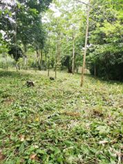 TERRENO EN BAJO RODRÍGUEZ en Rodríguez, Sarchí, Alajuela — $60,000 - Foto 3 de 8