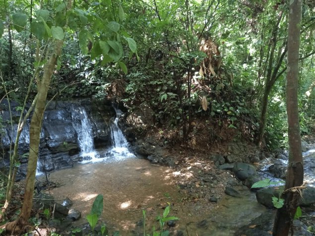 Finca en Lagunas de Barú Pérez Zeledón in Barú, Pérez Zeledón, San José — $650,000