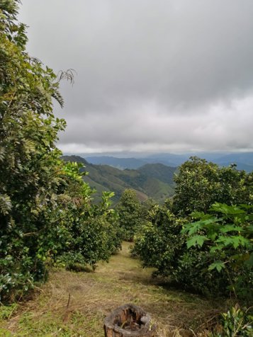 Propiedad con vista al golfo. in Bejuco, Nandayure, Guanacaste — ₡ 160 000 000