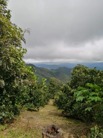 Propiedad con vista al golfo. en Bejuco, Nandayure, Guanacaste — ₡ 160 000 000 - Foto 2 de 26