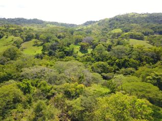 Hermosa finca en lugar súper tranquilo y a 45 minutos de la costa