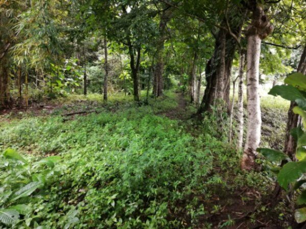  Lote , este se encuentra a 15 minutos del centro de Santa Cruz y a 10 minutos del centro de Nicoya. in Nicoya, Guanacaste — $30,000