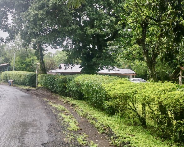 Venta lote en Esparza, Puntarenas - Uso mixto in San Rafael, Esparza, Puntarenas — ₡ 80 000 000
