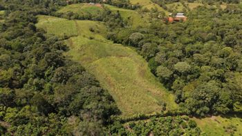 SE VENDE FINCA CON TOPOGRAFIA PLANA Y POTENCIAL AGRICOLA EN PEREZ ZELEDON en San Pedro, Pérez Zeledón, San José — ₡ 28 000 000 - Foto 3 de 12
