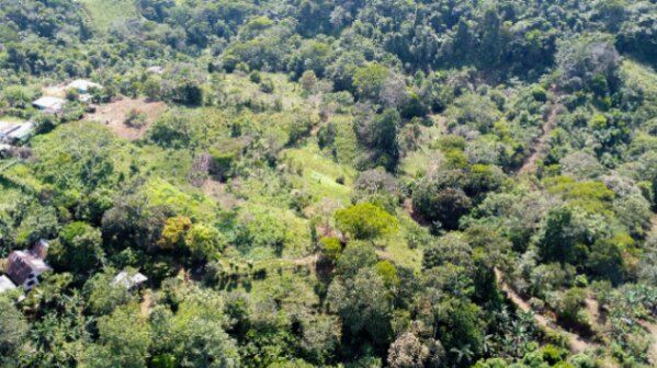 1.6 hectares con casa habitable, Cajon, Perez Zeledon en Cajón, Pérez Zeledón, San José — $130,000