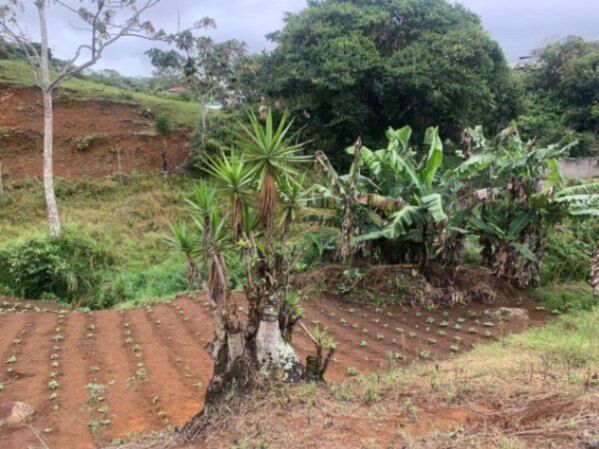 Venta de Lote en Paraíso de Cartago. RAH 26-1362 en Paraíso, Cartago — $90,000