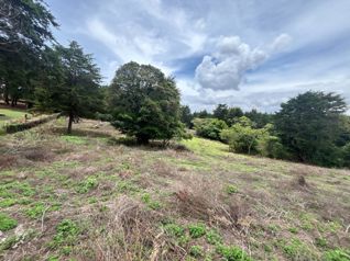 VENTA DE LOTE DE 11.310 m² EN LOS ÁNGELES, SAN RAFAEL DE HEREDIA