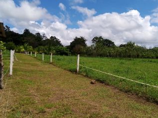 VENTA - Finca con vistas a dos volcanes cerca del Río Celeste- con casa de habitación in Katira, Guatuso, Alajuela — 130 000 000 ₡ - Photo 5 of 27