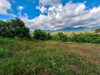 1.4 hectares finca de mamon chino en Cajon in Cajón, Pérez Zeledón, San José — $139,999 - Photo 5 of 32
