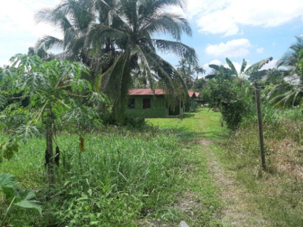 Propiedad en venta, NO cambió. in Río Jiménez, Guácimo, Limón — $60,000