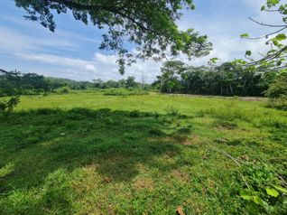 VENTA FINCA BEJUCO in Parrita, Puntarenas — $177,000 - Photo 4 of 5
