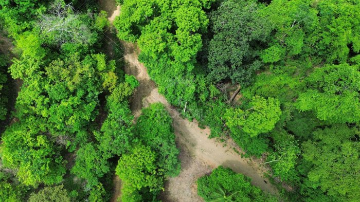 Lote de 5,376 m² en Lomas del Mar, Guanacaste in Sardinal, Carrillo, Guanacaste — $105,000