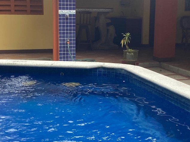 Pool House in Punta Leona en Tárcoles, Garabito, Puntarenas — $265,000
