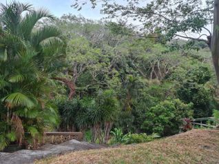 VENTA LOTE SANTA ANA 5866 mts2 en Santa Ana, San José — $725,000 - Foto 5 de 17