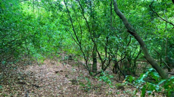 PROPIEDAD VENTA EN EL COCO, ALAJUELA-AEROPUERTO JUAN SANTA MARIA en Alajuela — ₡ 850 000 000