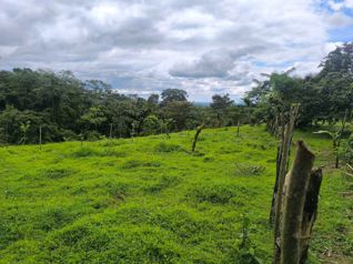 Hermosa Finca en San Ramón de La Virgen de Sarapiquí in La Virgen, Sarapiquí, Heredia — 90 000 000 ₡ - Photo 4 of 12