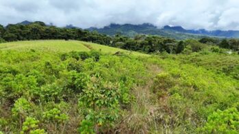 LOTES EN VENTA/ LOTS FOR SALE IN QUIZARRA en Cajón, Pérez Zeledón, San José — $70,000 - Foto 5 de 13