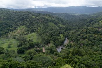 SE VENDE FINCA EN DOMINICAL CON VISTAS AL MAR Y NACIENTES DE AGUA EN 55 HECTAREAS in Barú, Pérez Zeledón, San José — $990,000 - Photo 4 of 20