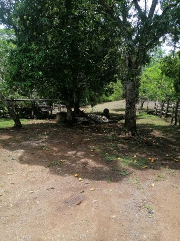 Terreno Uso Industrial- Caldera en Caldera, Esparza, Puntarenas — ₡ 600 000 000 - Foto 2 de 5