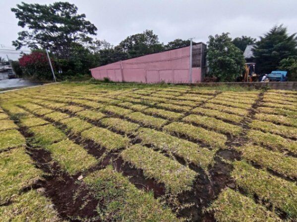 Se vende lote con oportunidad de inversión en San Pablo Heredia 25-868 in San Pablo, Heredia — ₡ 79 500 000