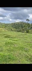 VENTA DE FINCA EN SIQUIRRES, LIMÓN –COSTA RICA - ZONA LAS BRISAS DE PACUARITO. in Cahuita, Talamanca, Limón — $775,000 - Photo 5 of 10