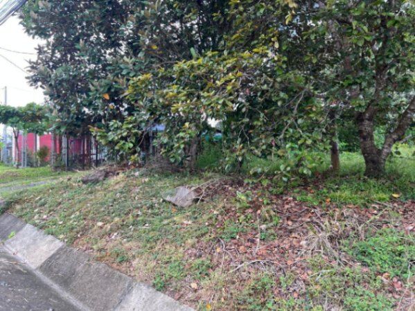 Venta de Bonito Lote de Terreno en San Pablo de Turrubares / Mls. 26-1315 OFC JB in San Pablo, Turrubares, San José — $82,000