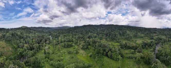 Se Vende Finca de 107 Hectáreas en Matina, Limón – Oportunidad Única in Matina, Limón — ₡ 230 000 000
