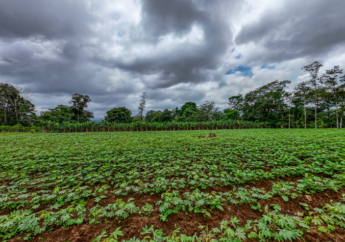 Se Vende Finca en SonaFluca, Fortuna de San Carlos en La Fortuna, San Carlos, Alajuela — ₡ 50 000 000 - Foto 3 de 16