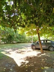 Casa en Alquiler en Sardinal, Carrillo, Guanacaste — 425 000 ₡ - Foto 4 de 7