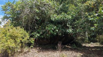 VENTA DE LOTE RESIDENCIAL DE 2.000 M2 FRENTE AL RIO PEÑAS BLANCAS EN SANTA ELENA, PEREZ ZELEDON en San Isidro De El General, Pérez Zeledón, San José — 15 000 000 ₡ - Foto 3 de 27