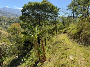 Venta de lote en Tabarcia de Mora in Tabarcia, Mora, San José — $192,000 - Photo 5 of 16