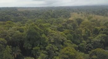 SE VENDE BELLÍSIMA FINCA EN LA VIRGEN DE SARAPIQUÍ.  in La Virgen, Sarapiquí, Heredia — 6 000 000 ₡ - Photo 4 of 18