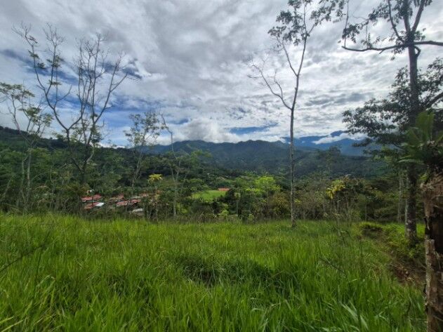 Finca con casa tipica San Antonio de Rivas, Perez Zeledon en Rivas, Pérez Zeledón, San José — $199,999