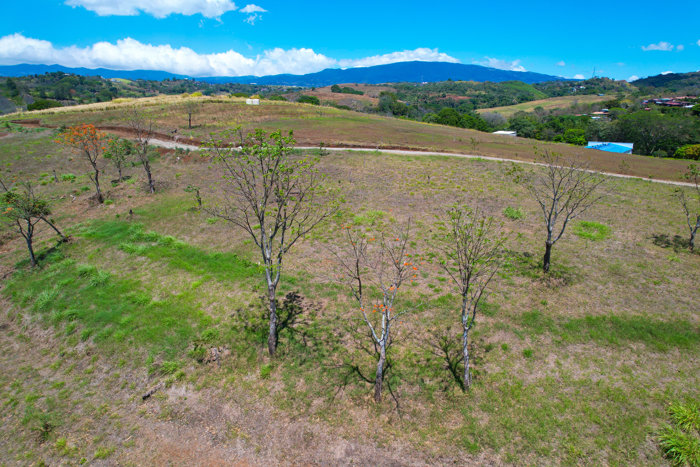 Exclusive Estate in Grecia – Nature, Investment, and Opportunity en Grecia, Alajuela — $12,750,000 - Foto 3 de 29