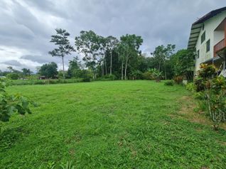 Venta Finca San Ramón - Foto 3 de 3
