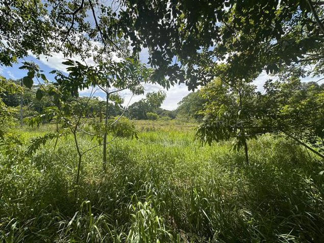 Venta de Lote en Turrúcares de Alajuela. RAH 27-529 USO DE SUELO AGRÍCOLA in Turrúcares, Alajuela — $179,000 - Photo 3 of 10