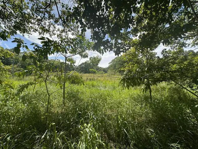 Lot for Sale in Turrúcares, Alajuela. RAH 27-529 AGRICULTURAL LAND USE in Turrúcares, Alajuela — $179,000 - Photo 3 of 10