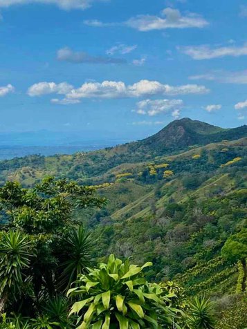 Hermosa Finca en Venta – Llano Brenes, San Ramón en San Rafael, San Ramón, Alajuela — $354,000 - Foto 3 de 29