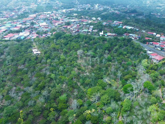 Coffee farm with high development potential – San Ramón (7ha) in San Ramón, Alajuela — ₡ 800 000 000 - Photo 2 of 6